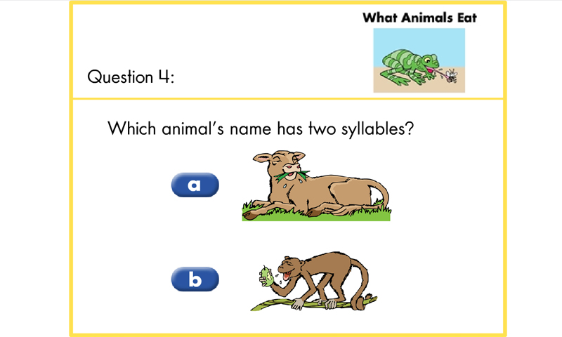 What animals eat