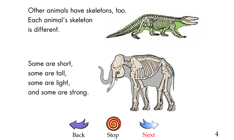 Animal skeletons