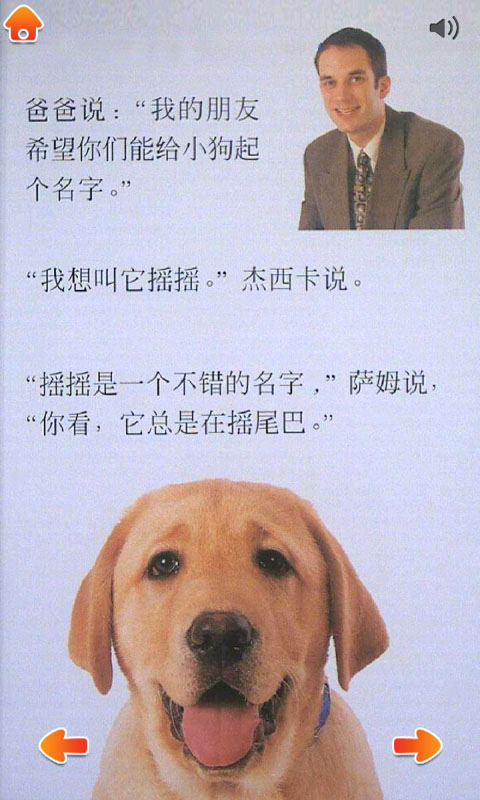 可爱的小狗