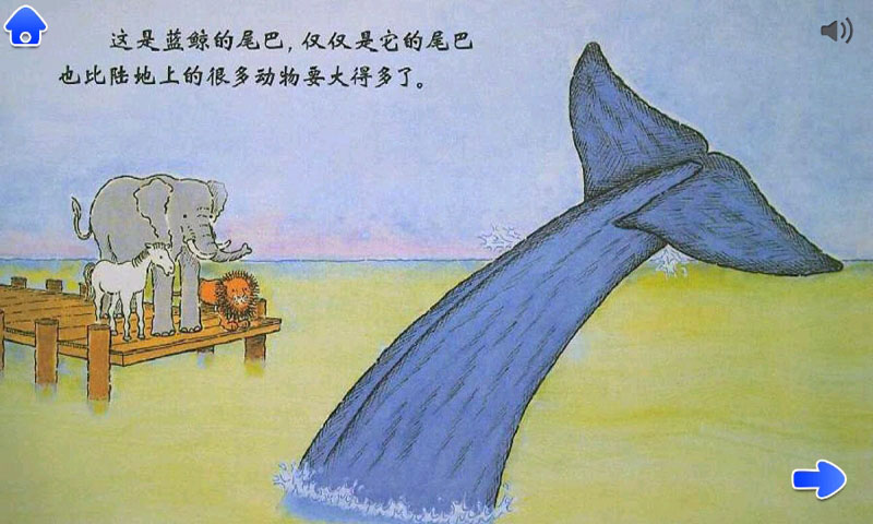 蓝鲸是最大的吗