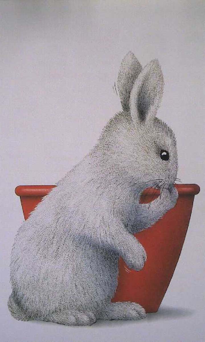 小白兔玩颜色